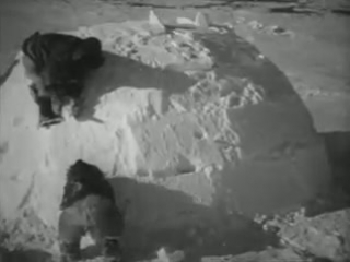 nanook of the north 1922, r. flaherty